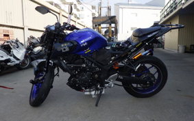 YAMAHA MT-25