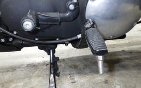 HARLEY XL883N 2014