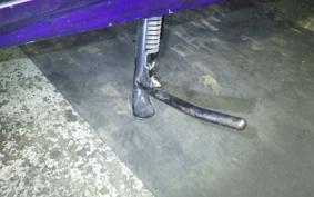 YAMAHA MAXAM 250 2021 SG21J