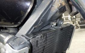 HONDA HORNET 250 2026 MC31