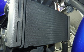 HONDA HORNET 250 2025 MC31