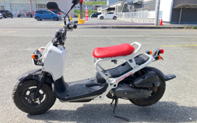 HONDA ZUMAR AF58