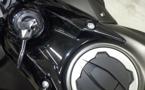 KAWASAKI NINJA 650 A 2024 ER650S