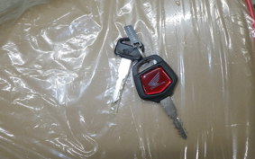HONDA C50 SUPER CUB 2008 AA09