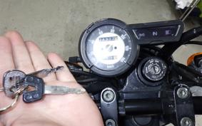 YAMAHA TRICKER DG10J