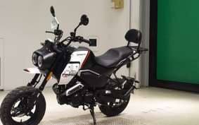 OTHER +CF PAPIO X0-2 2022