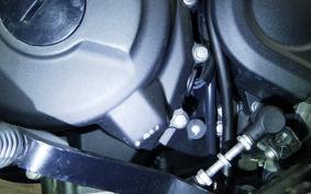 KAWASAKI ELIMINATOR400-3SE 2024 EL400A