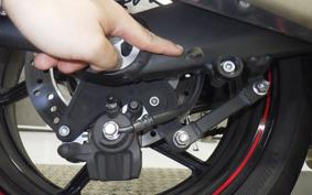 KAWASAKI NINJA 1000SX 2024 ZXT02K