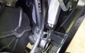 KAWASAKI NINJA 250 2 2008 EX250P