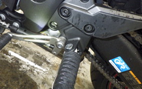 KAWASAKI NINJA 1000SX 2020 ZXT02K