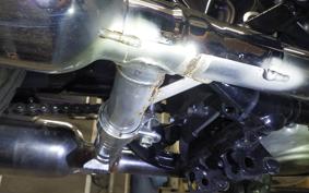 KAWASAKI W800 STREET 2020 EJ800B