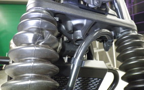 HONDA CL250-2 2012 MC57