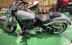 HARLEY FLFB 2025 YF9