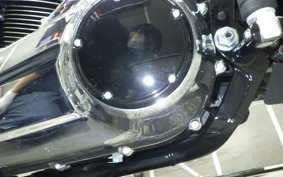 HARLEY FLFB1920 2026