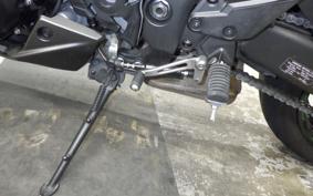 KAWASAKI NINJA 1000SX 2024 ZXT02K