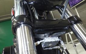 HARLEY XL1200NS 2020