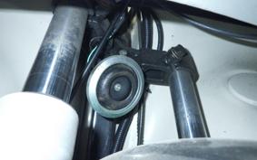OTHER UNREGISTERED MODEL by BDS125 TRIKE 2016