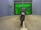 Фото Kawasaki KLX125D TRACKER 2011 с японского аукциона