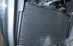 HONDA NX400 2024 NC65