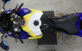 SUZUKI GSX-R1000 2010