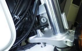 SUZUKI TS185 2017