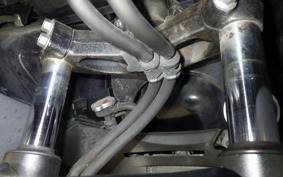 HONDA FORZA SI 1996 MF12