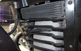 BMW R100RS 1989