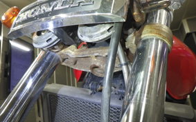 HONDA CB400SF 1996 NC31
