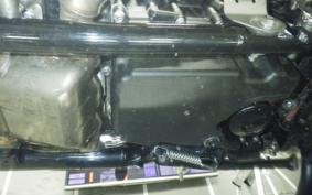 TRIUMPH BONNEVILLE T100 2022