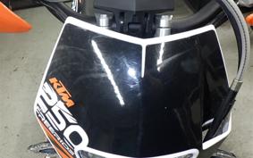 KTM 250 FREERIDE R 2019