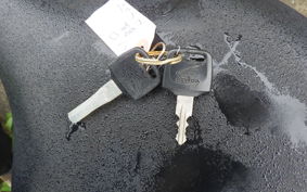 HONDA SOLO 1987 AC17