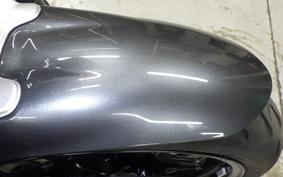 BMW R NINE T PURE 2024