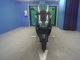 Фото Honda FORESIGHT EX 2001 с японского аукциона