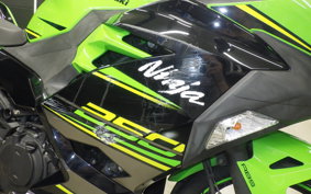 KAWASAKI NINJA 250 2 2019 EX250P