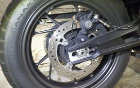 TRIUMPH TIGER 900 GT PRO 2023