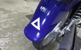 HONDA C110 SUPER CUB JA61