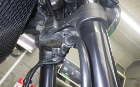 KAWASAKI Z900RS 2019 ZR900C