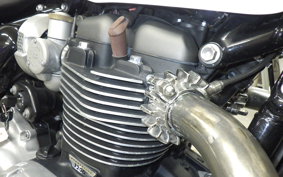 TRIUMPH BONNEVILLE SPEED 2021
