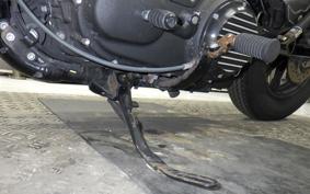 HARLEY XL1200NS 2020