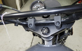 OTHER MUTT250 2021