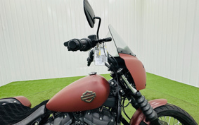 HARLEY FXBB 2017 YJJ
