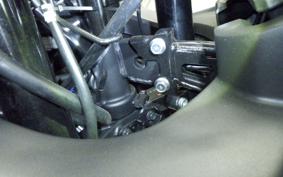 YAMAHA YZF R-3 2024 RH21J