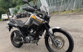 YAMAHA TENERE 700 2014 DM04