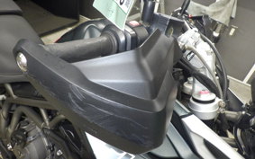 TRIUMPH TIGER 800 XC A 2019