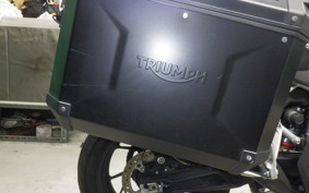 TRIUMPH TIGER 900 GT PRO 2020