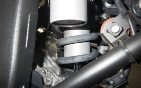 YAMAHA WR250X 2023 DG15J