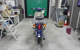 HONDA C50 SUPER CUB 2025 C50