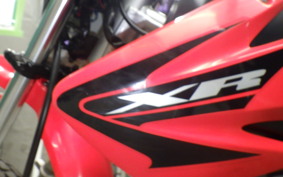 HONDA XR100 MOTARD 2025 HD13