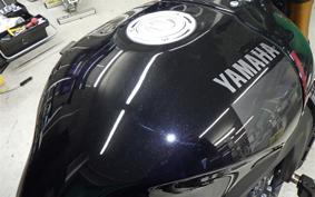 YAMAHA XSR900 2024 RN80J