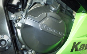 KAWASAKI NINJA 250 EX250L